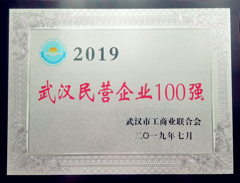 2019年武漢民營企業100強